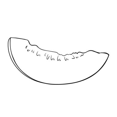 Kavun Meyvesi Çizimi. Organik doğal besin maddeleri, vejetaryen diyet ürünleri. Tasarım veya dekorasyon için izole edilmiş vektör.