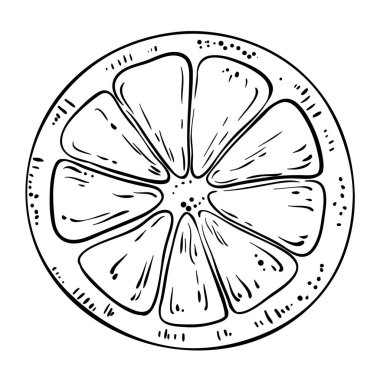 Portakal Meyvesi Tasviri. Organik doğal besin maddeleri, vejetaryen diyet ürünleri. Tasarım veya dekorasyon için izole edilmiş vektör.