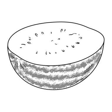 Karpuz Meyvesi Çizimi. Organik doğal besin maddeleri, vejetaryen diyet ürünleri. Tasarım veya dekorasyon için izole edilmiş vektör