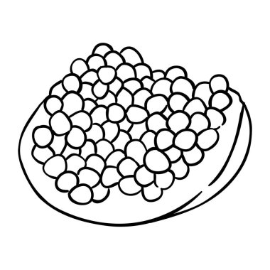 Nar Meyvesi Çizimi Çizimi. Organik doğal besin maddeleri, vejetaryen diyet ürünleri. Tasarım veya dekorasyon için izole edilmiş vektör.