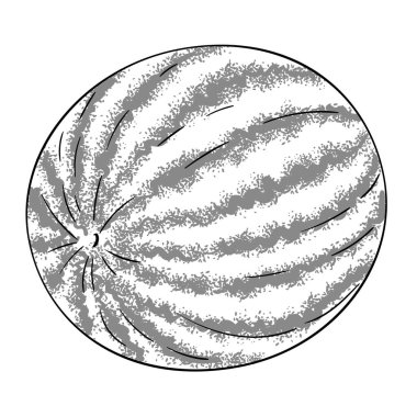 Karpuz Meyvesi Çizimi. Organik doğal besin maddeleri, vejetaryen diyet ürünleri. Tasarım veya dekorasyon için izole edilmiş vektör