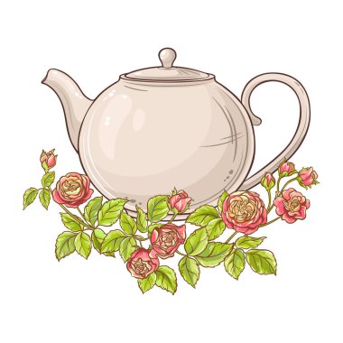 Kafeterya, Posterler, Afişler, Kartlar için Tasarım ve Dekorasyon için izole edilmiş Aroma İçecek Vektörü. Gül Çayı Renkli Ayrıntılı Çizim.