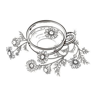 Kafeterya, Posterler, Afişler, Kartlar için Papatya Çay Vektörü Tasarım ve Dekorasyon için izole edildi. Bir kupa sıcak sıcak içecek. Aroma içeceği Taslak Çizimi.