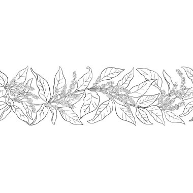 Çiçekler ve Yapraklar ile Amaranth Branch Yatay Kusursuz Desen. Organik doğal besin maddeleri, vejetaryen diyet ürünleri. Tasarım veya dekorasyon için izole edilmiş vektör.