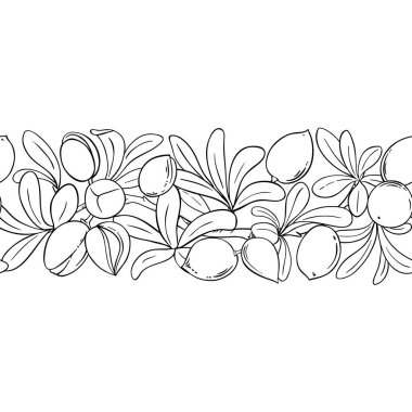 Fındık ve Yapraklar ile Argan Şubesi Yatay Kusursuz Desenli. Tasarım veya dekorasyon için izole edilmiş vektör.