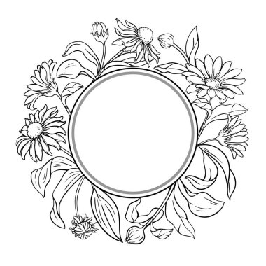 Çiçekli ve Yapraklı Arnica Fabrikası Yuvarlak Çizgili Çerçeve. Tasarım veya dekorasyon için izole edilmiş vektör.
