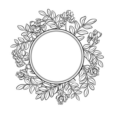 Çiçekler ve Yapraklar Yuvarlak Çerçeveli Astragalus Şubesi. Tasarım veya dekorasyon için izole edilmiş vektör.