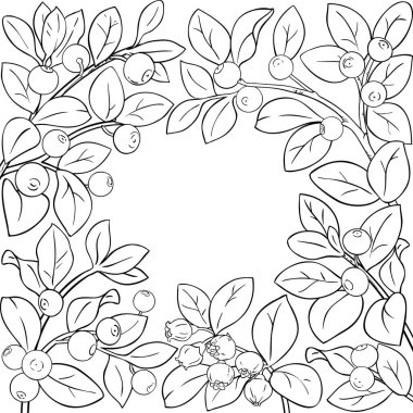 Berry ve Leaves Outline Frame ile Bilberry Branch. Organik doğal besin maddeleri, vejetaryen diyet ürünleri. Tasarım veya dekorasyon için izole edilmiş vektör.