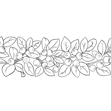 Böğürtlenli ve Yapraklı Bilberry Şubesi Yatay Şekilsiz Dış Hatlar. Organik doğal besin maddeleri, vejetaryen diyet ürünleri. Tasarım veya dekorasyon için izole edilmiş vektör.