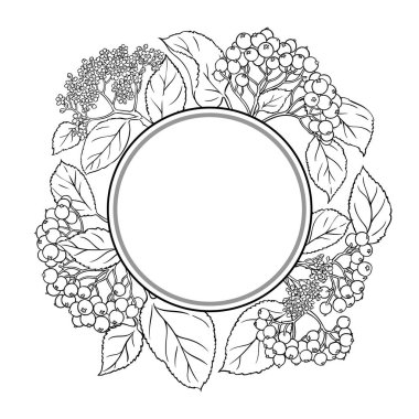 Çiçekler, Böğürtlenler ve Yapraklar Yuvarlak Çerçeveli Siyah Rowan Şubesi. Organik doğal besin maddeleri, vejetaryen diyet ürünleri. Tasarım veya dekorasyon için izole edilmiş vektör.