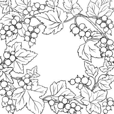 Böğürtlenli ve Çerçeveli Siyah Frenk üzümü Şubesi. Organik doğal besin maddeleri, vejetaryen diyet ürünleri. Tasarım veya dekorasyon için izole edilmiş vektör.