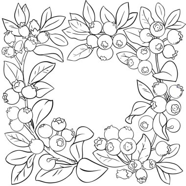 Böğürtlen ve Yaprak Çerçeveli Yabanmersini Şubesi. Organik doğal besin maddeleri, vejetaryen diyet ürünleri. Tasarım veya dekorasyon için izole edilmiş vektör.