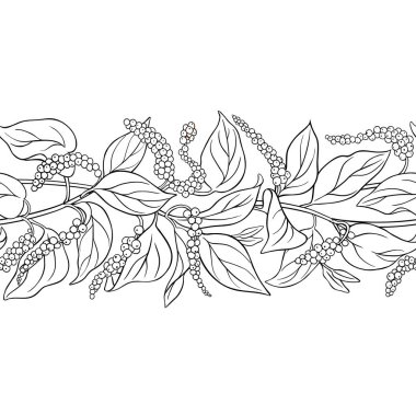 Böğürtlenli ve Yapraklı Kara Biber Şubesi Yatay Şekilsiz Dış Hatlar. Organik doğal besin maddeleri, vejetaryen diyet ürünleri. Tasarım veya dekorasyon için izole edilmiş vektör.