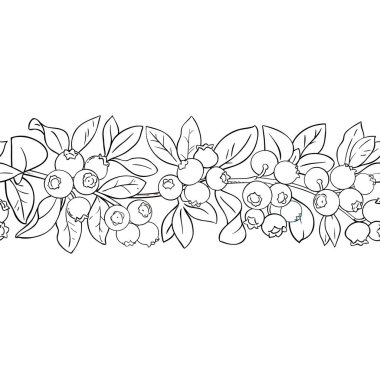 Yabanmersinli Böğürtlen ve Yapraklı Dış Hatlar Dikensiz Desen. Organik doğal besin maddeleri, vejetaryen diyet ürünleri. Tasarım veya dekorasyon için izole edilmiş vektör.