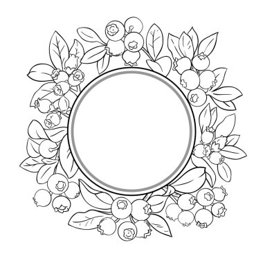 Böğürtlen ve Yapraklar Yuvarlak Çerçeveli Yabanmersini Şubesi. Organik doğal besin maddeleri, vejetaryen diyet ürünleri. Tasarım veya dekorasyon için izole edilmiş vektör.