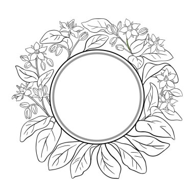 Çiçekler ve Yapraklar Taslak Yuvarlak Çerçeveli Borago Şubesi. Tasarım veya dekorasyon için izole edilmiş vektör.