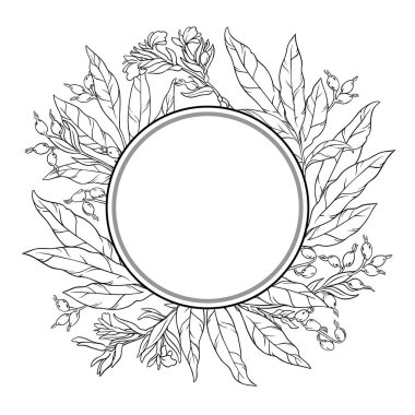 Çiçekler, Böğürtlenler ve Yapraklar Yuvarlak Çerçeveli Cardamon Şubesi. Tasarım veya dekorasyon için izole edilmiş vektör.