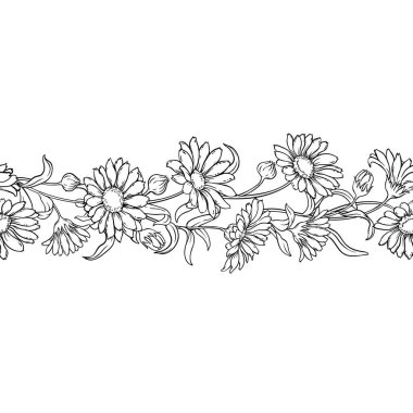 Çiçekli ve Yapraklı Calendula Bitkisi Yatay Şekilsiz Dış Hatlar. Tasarım veya dekorasyon için izole edilmiş vektör.