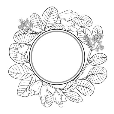 Çiçekler, Fındıklar ve Yapraklar Yuvarlak Çerçeveli Ceviz Şubesi. Organik doğal besin maddeleri, vejetaryen diyet ürünleri. Tasarım veya dekorasyon için izole edilmiş vektör.