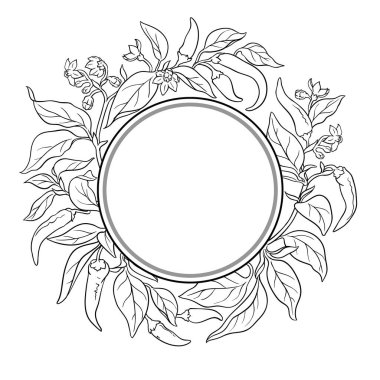 Çiçekler, Meyveler ve Yapraklar Yuvarlak Çerçeveli Cayenne Pepper Şubesi. Organik doğal besin maddeleri, vejetaryen diyet ürünleri. Tasarım veya dekorasyon için izole edilmiş vektör.