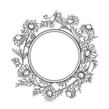 Çiçekler ve Yapraklar Yuvarlak Çerçeveli Papatya Şubesi. Kozmetik, sağlık, alternatif tıp malzemeleri. Tasarım veya dekorasyon için izole edilmiş vektör.