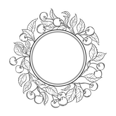 Böğürtlenli ve yapraklı kiraz dalı yuvarlak çerçeve. Organik doğal besin maddeleri, vejetaryen diyet ürünleri. Tasarım veya dekorasyon için izole edilmiş vektör.