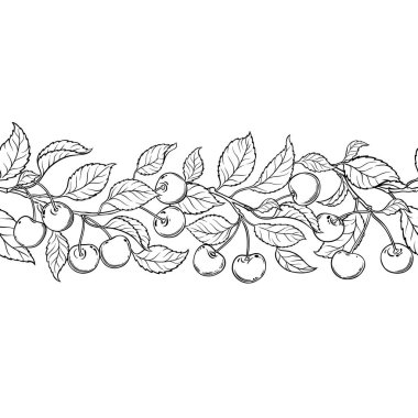 Çilek ve Yaprak Dış Hatlar Yatay Kusursuz Desenli Kiraz Şubesi. Organik doğal besin maddeleri, vejetaryen diyet ürünleri. Tasarım veya dekorasyon için izole edilmiş vektör.