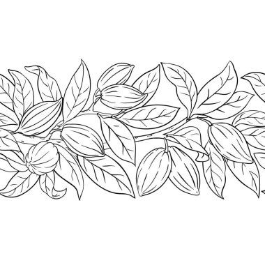 Cevizli ve Yapraklı Kakao Şubesi Yatay Şekilsiz Dış Hatlar. Organik doğal besin bileşeni, vejetaryen diyet ürünü. Tasarım veya dekorasyon için izole edilmiş vektör.