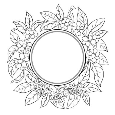 Çiçekler, Tohumlar ve Yapraklar Yuvarlak Çerçeveli Kahve Şubesi. Tasarım veya dekorasyon için izole edilmiş vektör.