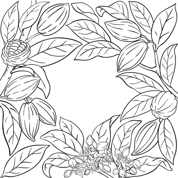 Ceviz ve Yaprak Çerçeveli Kakao Şubesi. Organik doğal besin bileşeni, vejetaryen diyet ürünü. Tasarım veya dekorasyon için izole edilmiş vektör.