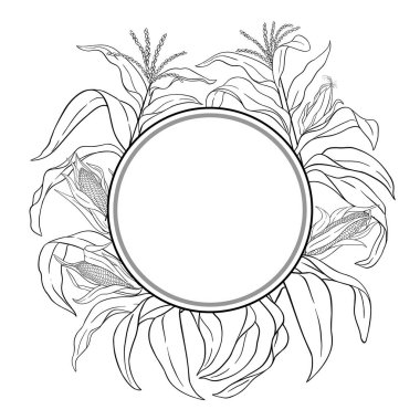 Cobs Outline Round Frame 'li mısır bitkisi. Organik doğal besin maddeleri, vejetaryen diyet ürünleri. Tasarım veya dekorasyon için izole edilmiş vektör.