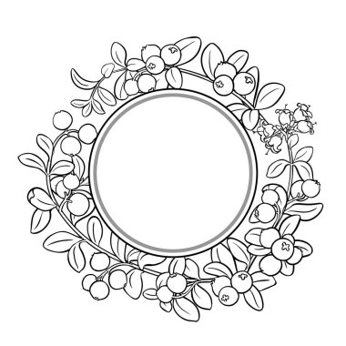 Çiçekli, dutlu ve yapraklı kızılcık dalı yuvarlak çerçeveli. Organik doğal besin maddeleri, vejetaryen diyet ürünleri. Tasarım veya dekorasyon için izole edilmiş vektör.