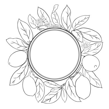 Çiçekli, meyveli ve yapraklı Cupuacu Şubesi Yuvarlak Çerçeveli. Organik doğal besin maddeleri, vejetaryen diyet ürünleri. Tasarım veya dekorasyon için izole edilmiş vektör.