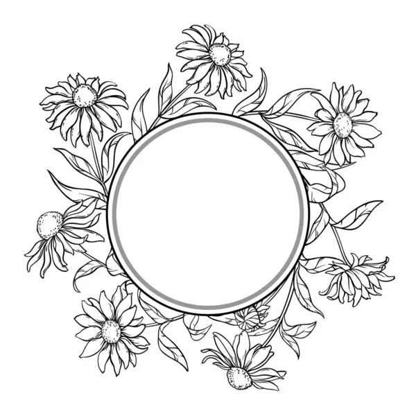Çiçekler ve Yapraklar Yuvarlak Çerçeveli Ekinezya Bitkisi. Tasarım veya dekorasyon için izole edilmiş vektör.