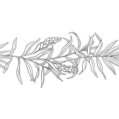 Çiçekler, Kökler ve Yapraklar ile Ginger Branch Yatay Özetle Kusursuz Desen. Organik doğal besin maddeleri, vejetaryen diyet ürünleri. Tasarım veya dekorasyon için izole edilmiş vektör.