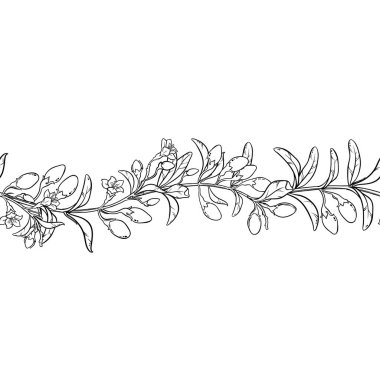 Çiçekler, Böğürtlenler ve Yapraklar ile Goji Branch Yatay Kusursuz Desen. Organik doğal besin maddeleri, vejetaryen diyet ürünleri. Tasarım veya dekorasyon için izole edilmiş vektör.