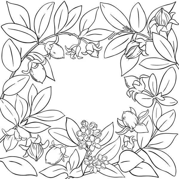 Çiçekler, Fındıklar ve Yapraklar Çerçeveli Jojoba Şubesi. Kozmetik, spa, aromaterapi, sağlık ve alternatif tıp için temel yağ bileşeni. Tasarım veya dekorasyon için izole edilmiş vektör.