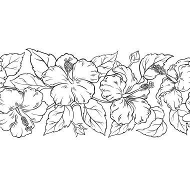 Çiçekler ve Yapraklar ile Hibiscus Şubesi Yatay Şekilsiz Dış Hatlar. Tasarım veya dekorasyon için izole edilmiş vektör.