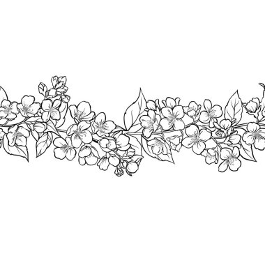 Jasmine Branch ve Çiçekler ve Yapraklar Dış Hatlar Yatay Kusursuz Desen. Kozmetik, spa, aromaterapi, sağlık ve alternatif tıp için temel yağ bileşeni. Tasarım veya dekorasyon için izole edilmiş vektör.