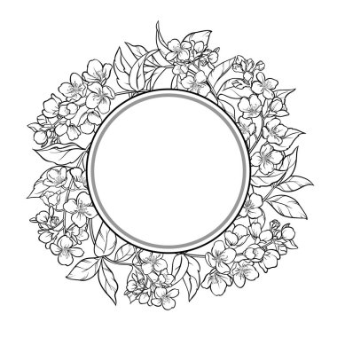 Jasmine Branch ve Flowers ve Leaves Outline Round Frame. Kozmetik, spa, aromaterapi, sağlık ve alternatif tıp için temel yağ bileşeni. Tasarım veya dekorasyon için izole edilmiş vektör.