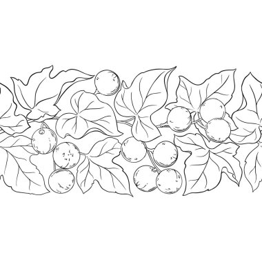 Çiçekler, Fındıklar ve Yapraklar ile Kukui Şubesi Yatay Özetle Kusursuz Desen. Organik doğal besin maddeleri, vejetaryen diyet ürünleri. Tasarım veya dekorasyon için izole edilmiş vektör.