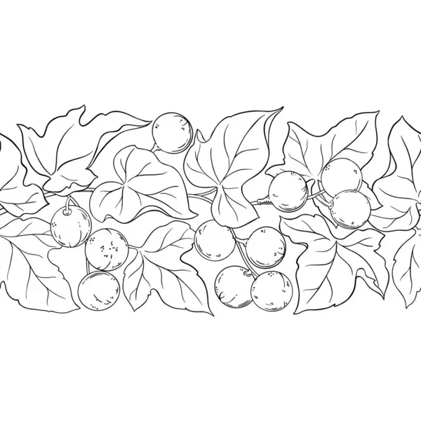 Çiçekler, Fındıklar ve Yapraklar ile Kukui Şubesi Yatay Özetle Kusursuz Desen. Organik doğal besin maddeleri, vejetaryen diyet ürünleri. Tasarım veya dekorasyon için izole edilmiş vektör.