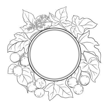 Çiçekler, Fındıklar ve Yapraklar Yuvarlak Çerçeveli Kukui Şubesi. Organik doğal besin maddeleri, vejetaryen diyet ürünleri. Tasarım veya dekorasyon için izole edilmiş vektör.