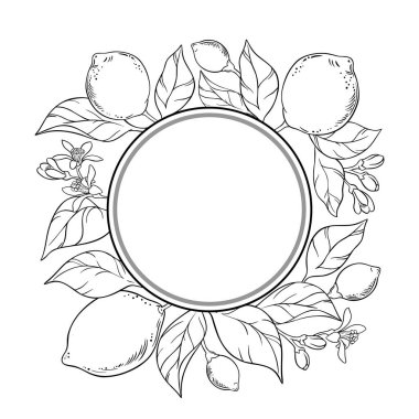 Çiçekler, Meyveler ve Yapraklar Yuvarlak Çerçeveli Limon Şubesi. Organik doğal besin maddeleri, vejetaryen diyet ürünleri. Tasarım veya dekorasyon için izole edilmiş vektör.