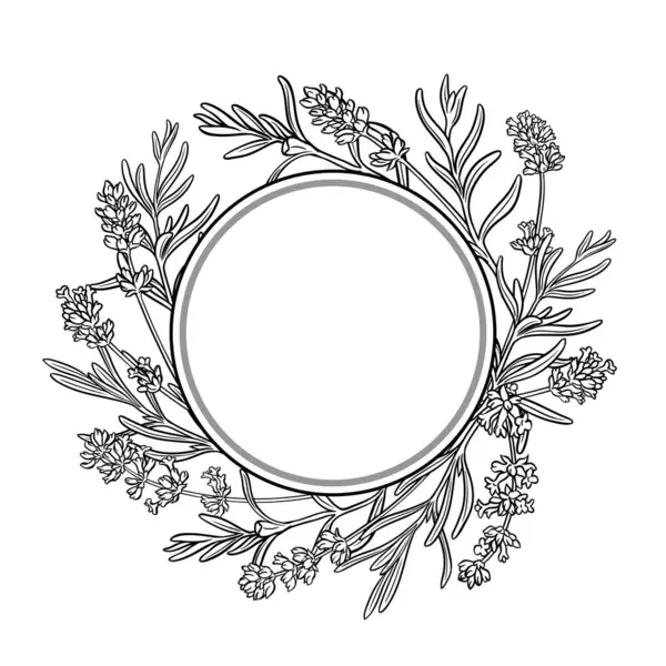 Çiçekler ve Yapraklar Yuvarlak Çerçeveli Lavanta Şubesi. Kozmetik, spa, aromaterapi, sağlık ve alternatif tıp için temel yağ bileşeni. Tasarım veya dekorasyon için izole edilmiş vektör.