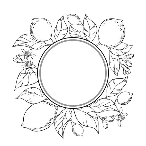 Çiçekler, Meyveler ve Yapraklar Yuvarlak Çerçeveli Limon Şubesi. Organik doğal besin maddeleri, vejetaryen diyet ürünleri. Tasarım veya dekorasyon için izole edilmiş vektör.