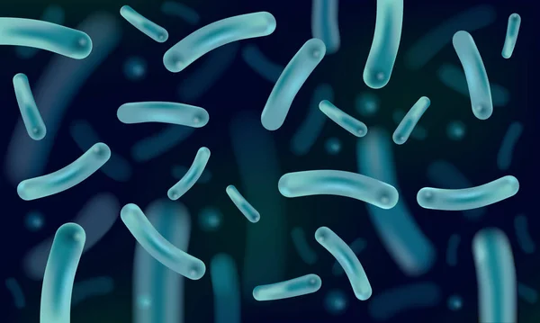 Probiotika Lactobacillus Zur Wiederherstellung Der Darmflora Realistische Vektordarstellung Nahaufnahme — Stockvektor