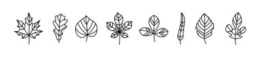 Ağaç Yaprağı çizgi şekilleri, ince çizgi tasarım vektör çizimi, izole edilmiş