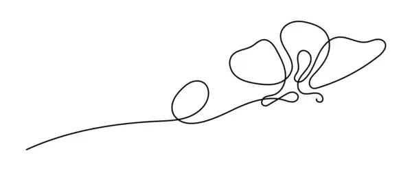 Рисунок Бабочки Помощью Непрерывной Линии Векторная Иллюстрация Тонкой Линии — стоковый вектор