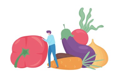 Sağlıklı gıda kavramı, şeffaf bir arkaplanda izole edilmiş, düz tasarım vektör çizimi, grafik ve web tasarımı için